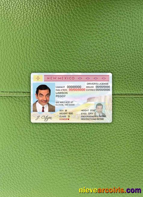 USA State New Mexico driving license photolook